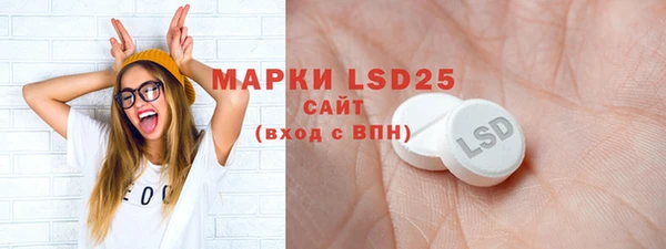 ECSTASY Богородицк