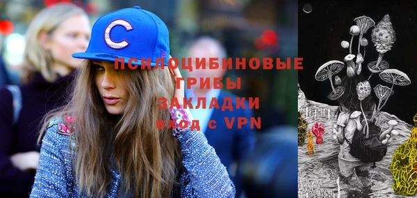кокаин колумбия Богданович