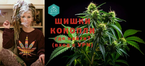 крисы Бронницы