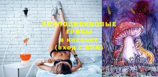 ECSTASY Богородицк