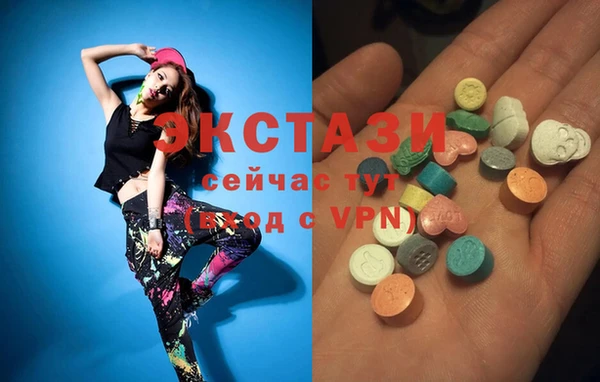 ECSTASY Богородицк