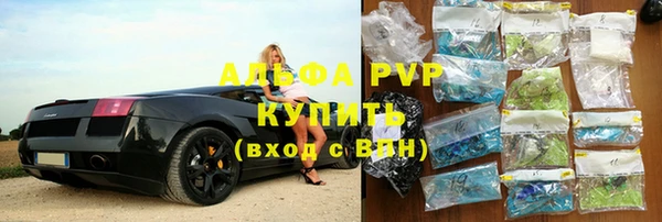 ECSTASY Богородицк